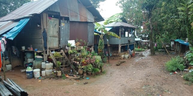 TCD project – Indonesia