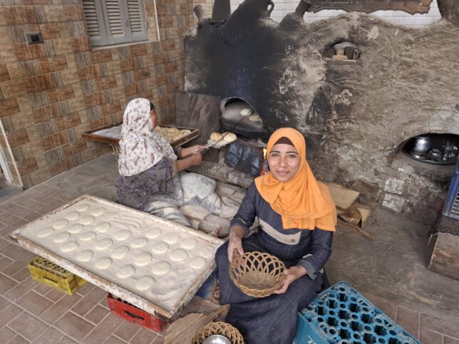 Micro-enterprise loans in Egypt